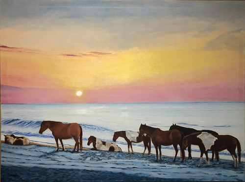 20240920-Wild Horses.jpg
